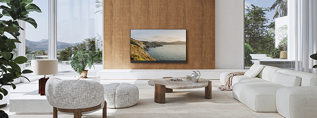 Z95B lifestyle image