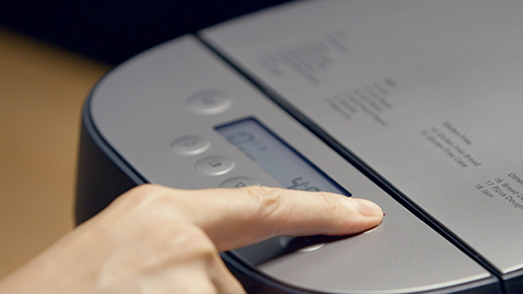 Matcha Bread with Orange