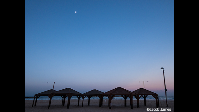 Get Inspired - LUMIX® Digital Camera DC-FZ80