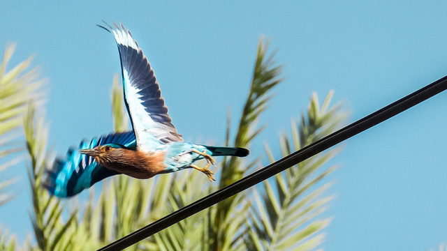 للاستلهام - الكاميرا الرقمية LUMIX® الطراز DC-TZ220