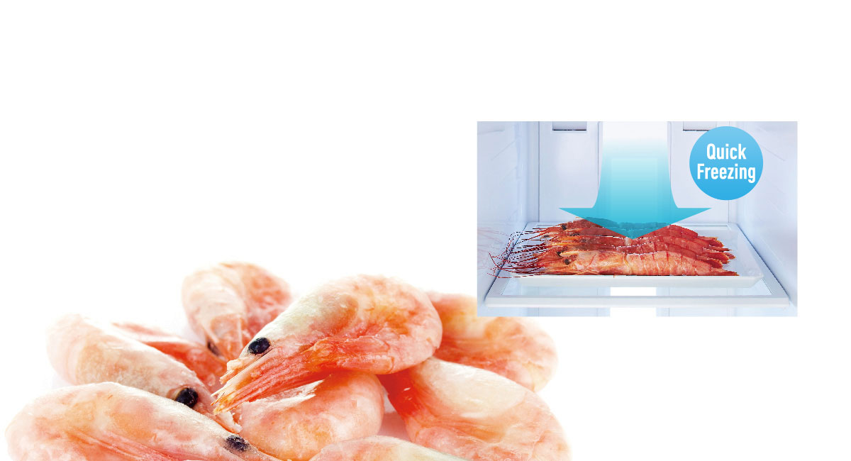 التجميد السريع