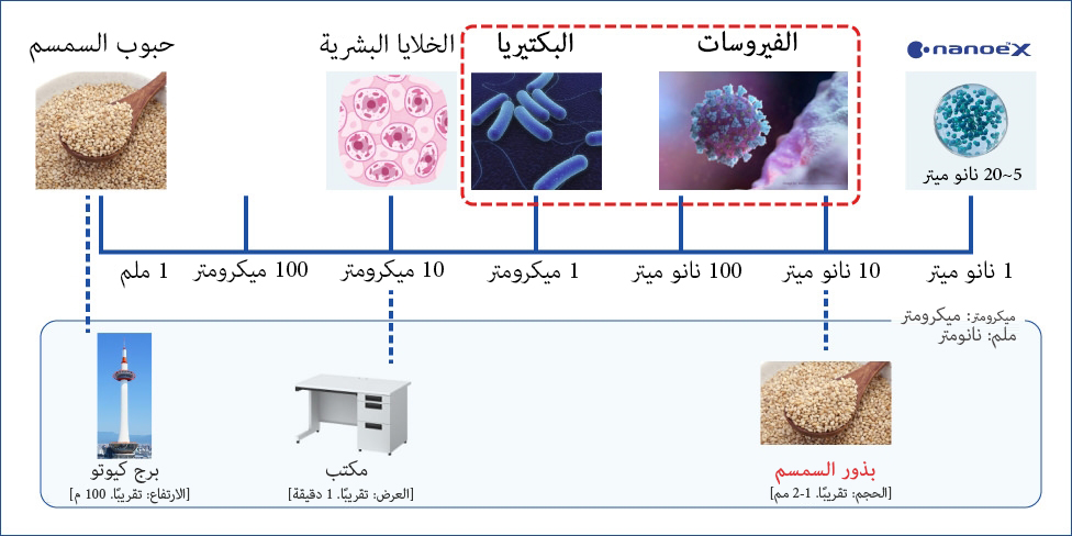 صورة مقارنة الحجم بين الفيروسات والبكتيريا 