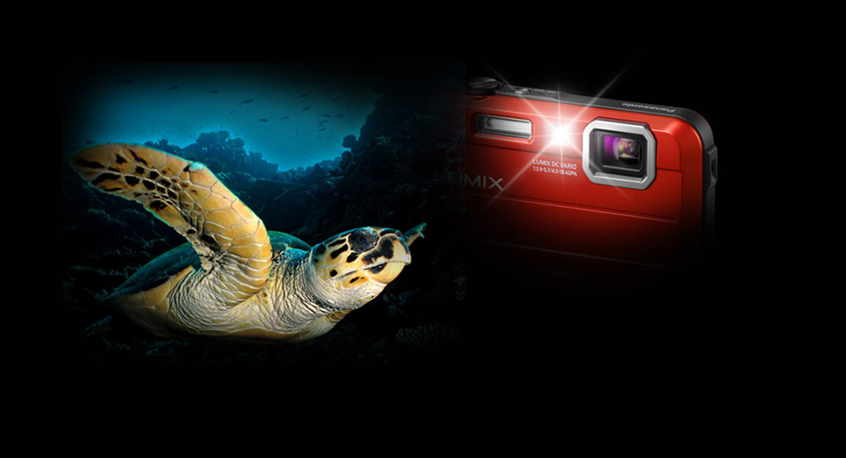 LUMIX Underwater Camera DMCFT30 Panasonic Australia