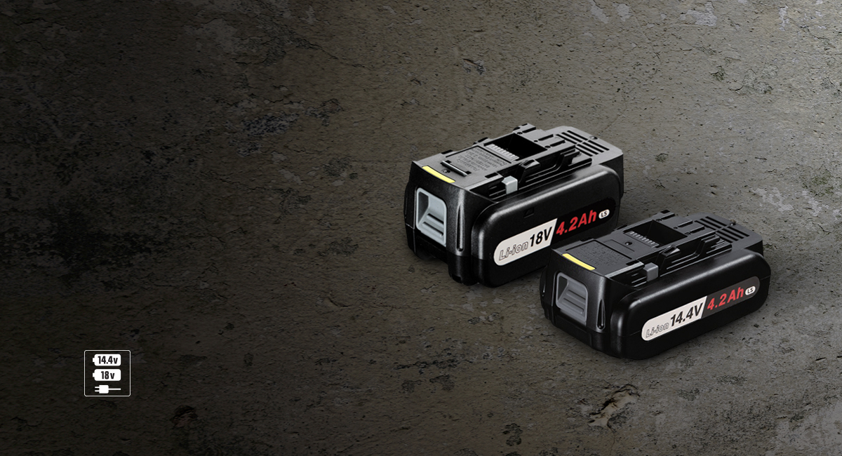 Dual Voltage Battery for Ultra Flexibility