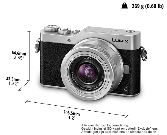LUMIX DC-GX800