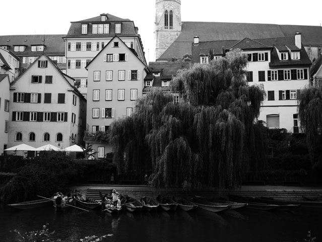 Image of LUMIX GX7 in GERMANY