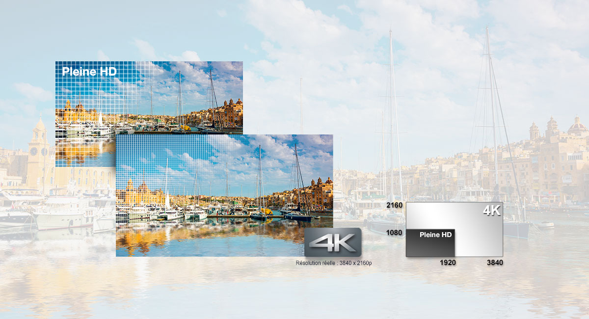 Vidéo 4K. La vie dans les moindres détails.