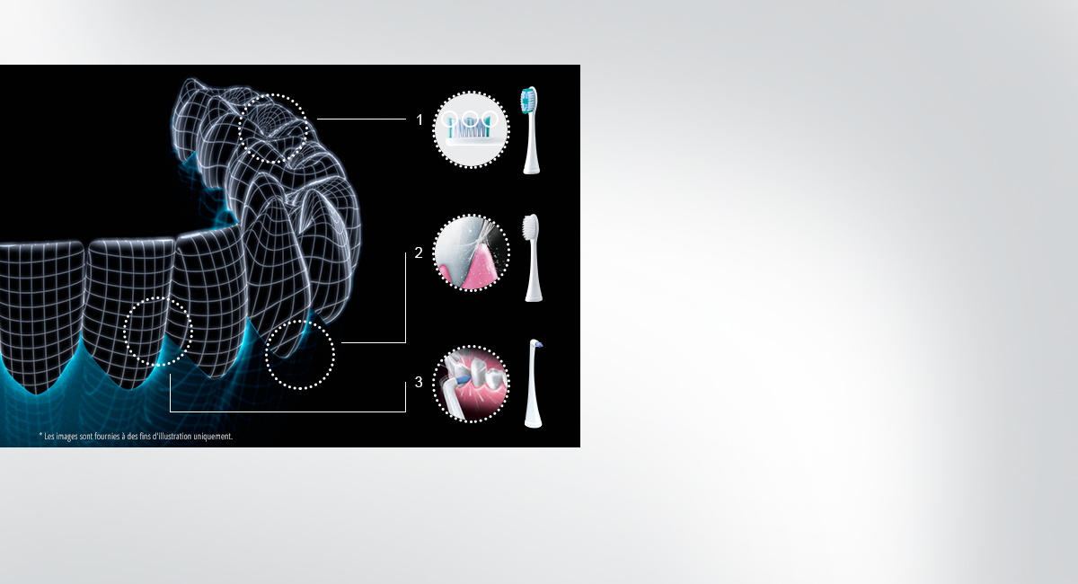 Brosses fournies pour des utilisations spécifiques