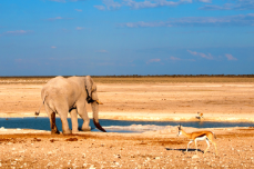 012_FY2016_LUMIX_Photo_Adventure_Namibia_Wildtiere