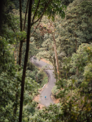 053_FY2017_Panasonic_60x_zoom