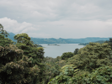 053_FY2017_Panasonic_landschaft