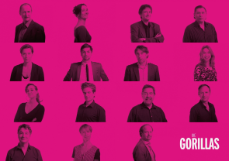 037_FY2015_GorillasIrisJanke