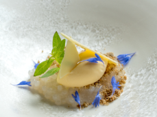 117_Panasonic_Asiatische_Patisserie_Kalamansi_Eis_mit_Litschi_Tapioka_nah