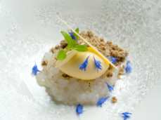 117_Panasonic_Asiatische_Patisserie_Kalamansi_Eis_mit_Litschi_Tapioka_nah_seitlich