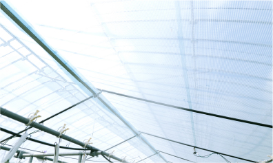 Photo: Infrared-absorbing curtains of the IT Greenhouse