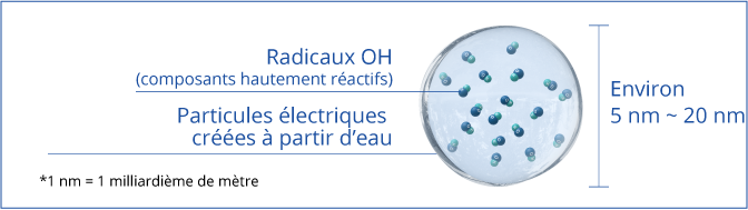 Photo : Schéma des particules électriques créées à partir d’eau, qui contiennent des radicaux hydroxyles (radicaux OH). La taille de la particule varie entre 5 et 20 nanomètres. (1 nm = 1 milliardième de mètre)
