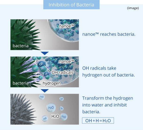 Image: Diagram showing nanoe(TM) removal of bacteria. First, nanoe(TM) reaches bacteria. Next, OH radicals take hydrogen out of bacteria. Then they transform the hydrogen into water and inhibit bacteria. At the end of the image, the formula “OH + H = H2O” appears.