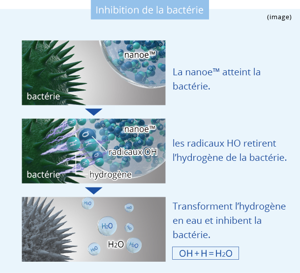 Photo : Schéma présentant le retrait de la bactérie par une nanoe™ En premier lieu, la nanoe™ atteint la bactérie Ensuite, les radicaux HO retirent l’hydrogène de la bactérie. Ils transforment alors l’hydrogène en eau et inhibent la bactérie. À la fin de l’image, le formule « OH + H = H2O » apparaît