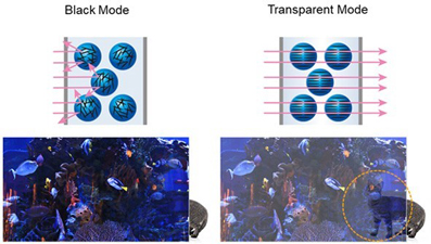 Panasonic Hadirkan Teknologi Layar OLED Transparan Untuk Pengalaman Menonton yang Spektakuler