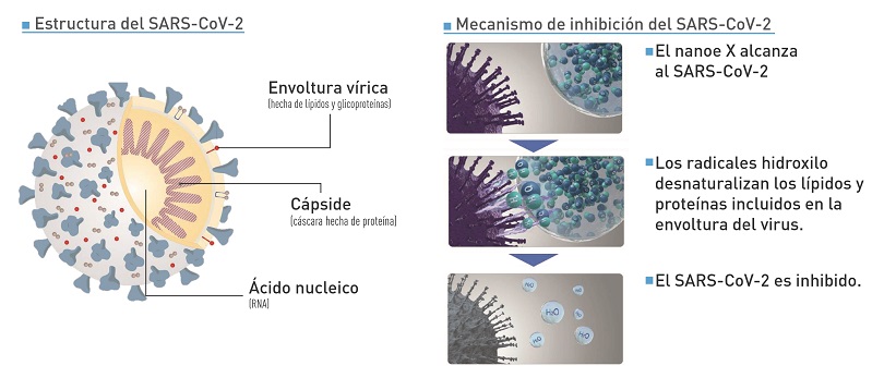 Panasonic confirma el efecto inhibidor de su tecnología nanoe™ X con el nuevo coronavirus (SARS-CoV-2)