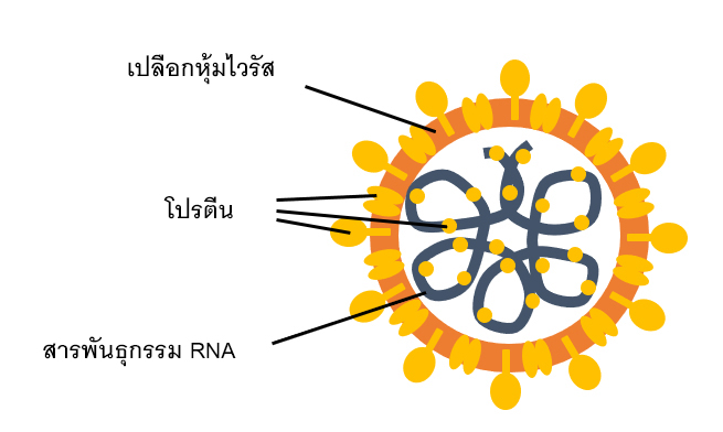 คร้้งแรกของโลก*¹ ที่ได้รับการรับรองว่าเทคโนโลยี nanoe™ สามารถเข้าทำลายโครงสร้างเชื้อไวรัส SARS-CoV-2 ได้