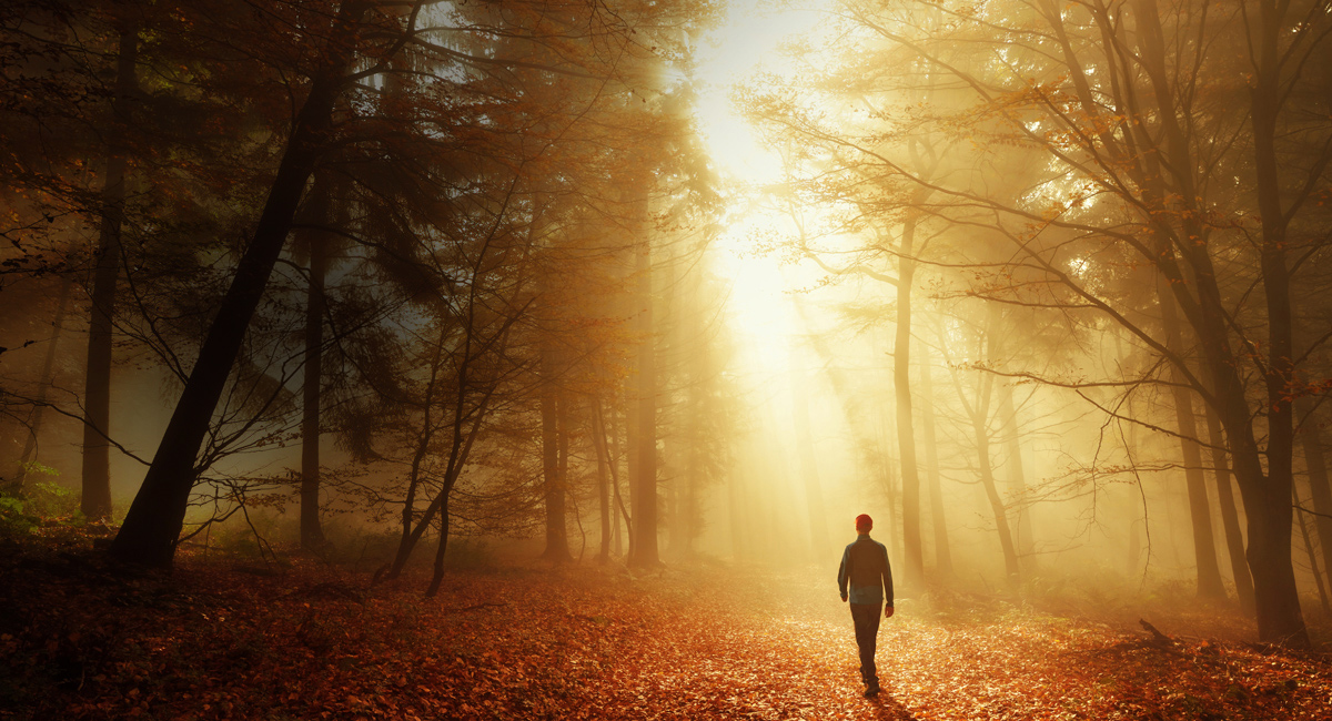 Optimale Verarbeitung von HDR-Inhalten
