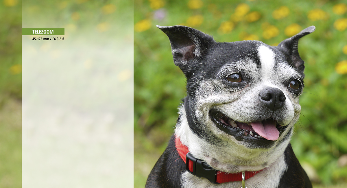 Sanfter Tele-Motorzoom, ideal für Videoaufnahmen