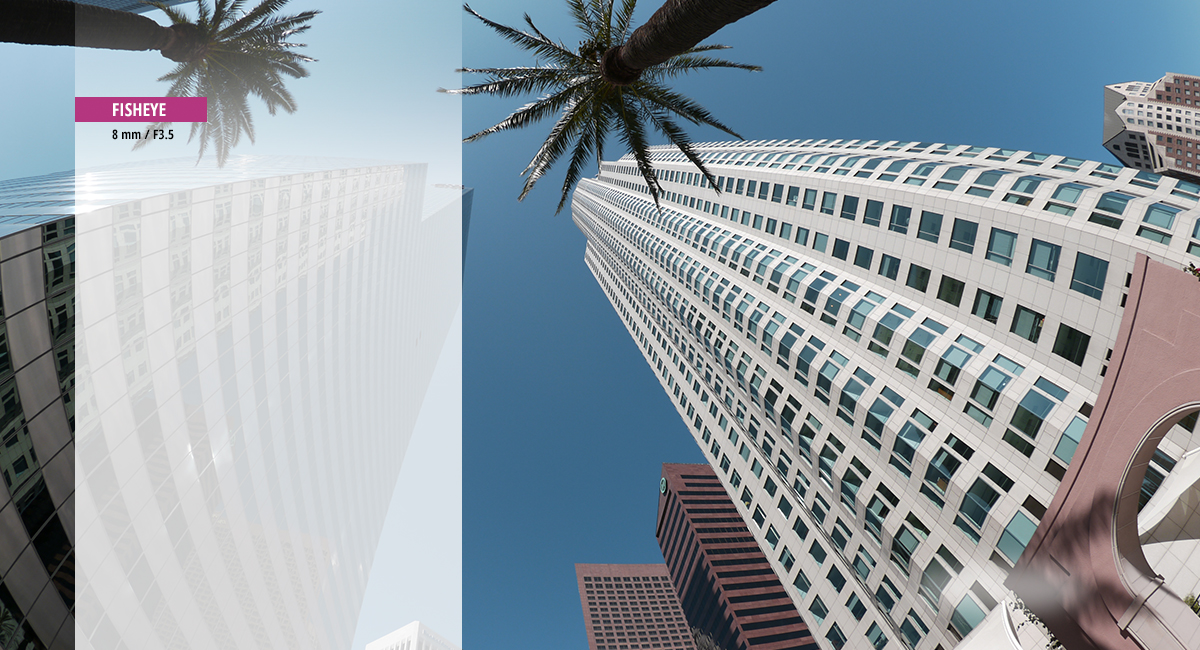 Eine neue Perspektive – Fisheye