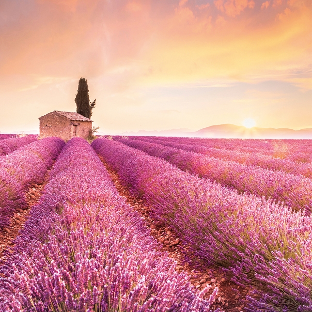 Landschaftsbild mit extremer Lichtstimmung und kontrastreicher Farbgebung