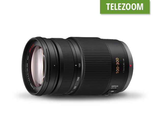 Produktabbildung H-FS100300 LUMIX G VARIO 100-300 mm / F4.0-5.6 / O.I.S.