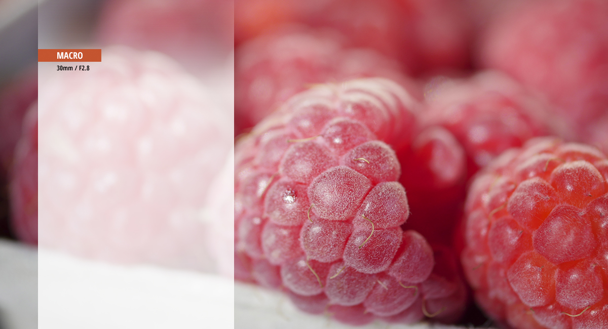 Fotografías macro realistas 