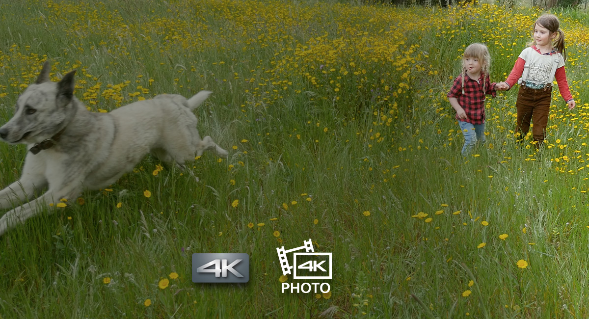 4K-Video- und 4K-Foto – nie den perfekten Moment verpassen