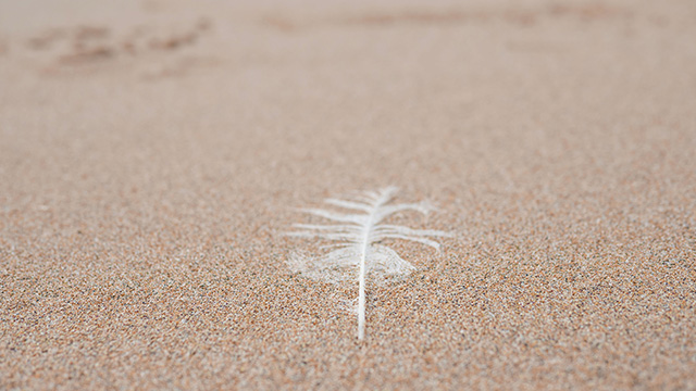 Soyez inspirés - Appareil photo hybride DMC-G7K