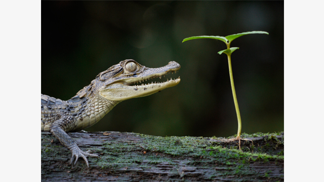 Bli inspirerad - H-FS045200 Utbytbara objektiv