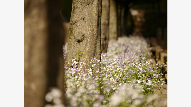 Bli inspirerad - H-FS045200 Utbytbara objektiv