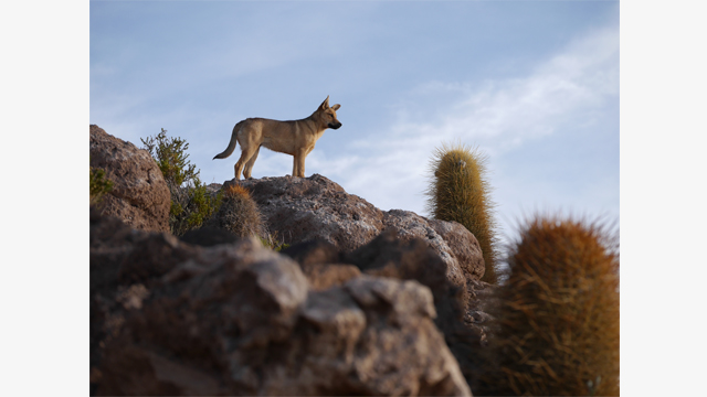 Soyez inspirés - Objectifs LUMIX G H-FS35100