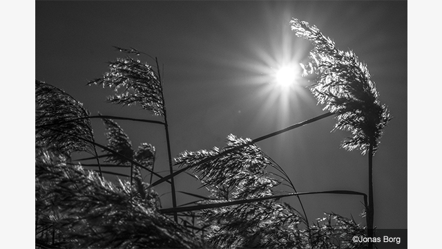 Soyez inspirés - Objectifs Lumix G H-FS45150