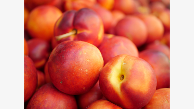 Soyez inspirés - Objectif LUMIX G H-H025