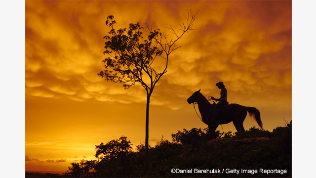 ¿Necesitas ideas? - Objetivo H-X015 LEICA DG SUMMILUX