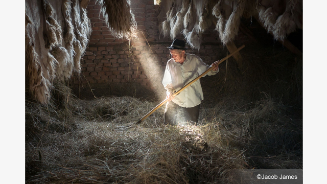¿Necesitas ideas? - Objetivo H-X015 LEICA DG SUMMILUX