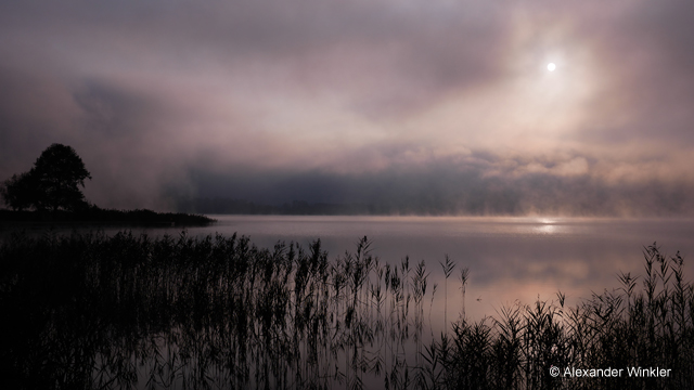 Inspirationen - H-H020A LUMIX G 20 mm / F1.7 II ASPH.