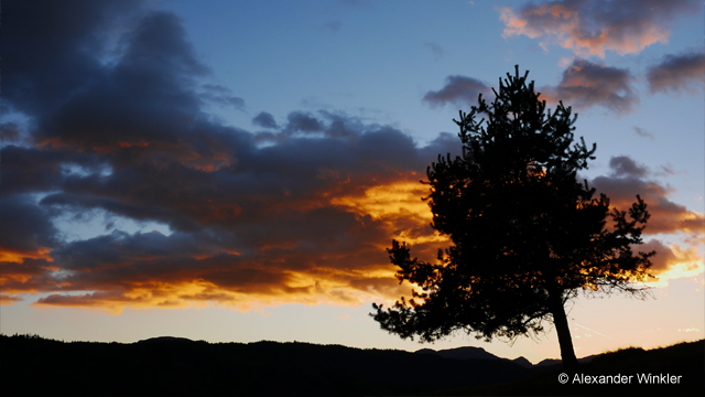 Inspirationen - H-H020A LUMIX G 20 mm / F1.7 II ASPH.