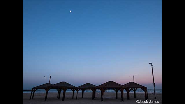 ¿Necesitas ideas? - Cámara digital LUMIX DC-FZ82