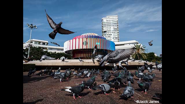 ¿Necesitas ideas? - Cámara digital LUMIX DC-FZ82