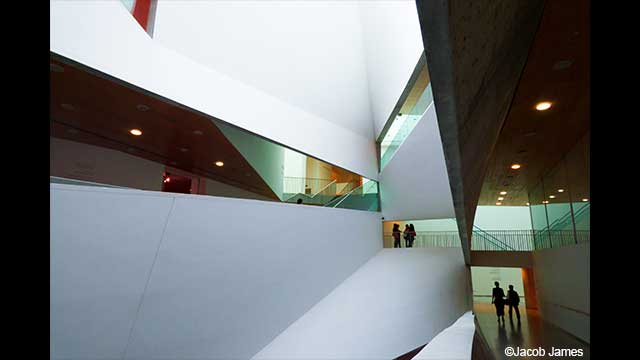 ¿Necesitas ideas? - Cámara digital LUMIX DC-FZ82