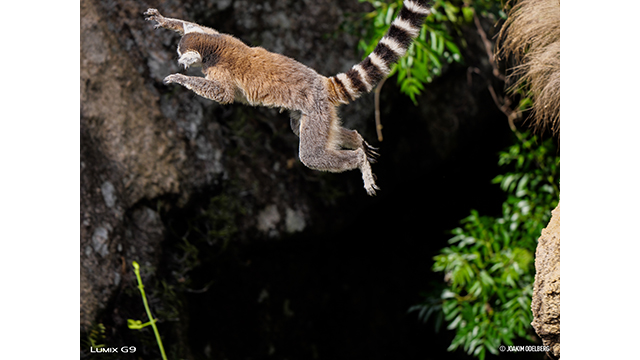 Soyez inspirés - Appareil photo hybride DC-G9