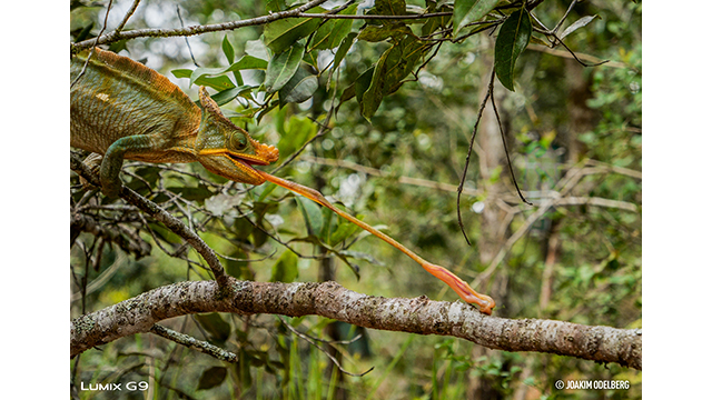 Soyez inspirés - Appareil photo hybride DC-G9