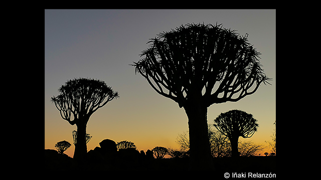 ¿Necesitas ideas? - Cámara digital LUMIX DC-FZ1000II