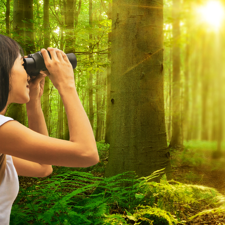 Personne qui regarde à travers des jumelles dans une forêt où la lumière du soleil filtre à travers les arbres.