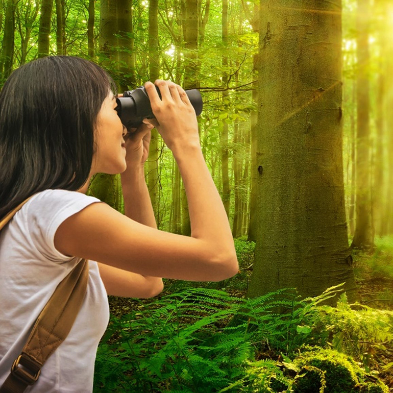 Någon tittar genom en kikare i en grön miljö. Text: 'en strategi med fokus på hållbarhet'